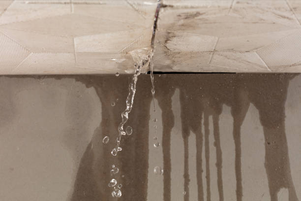 Professional Water Damage Repair technician working in Littlerock, CA
